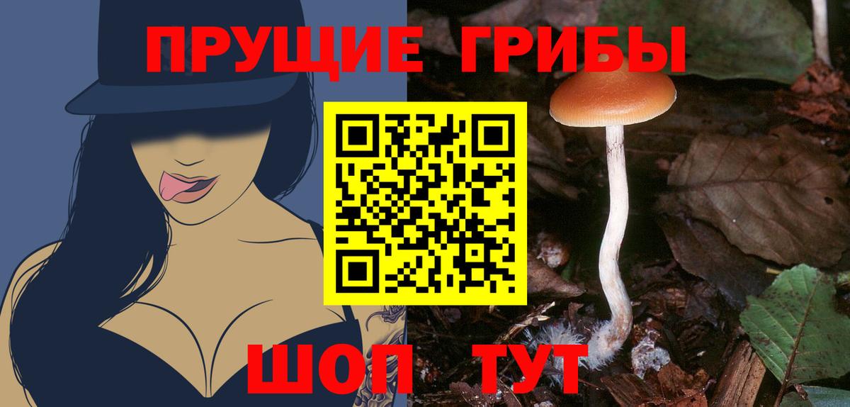 Галлюциногенные грибы ЛСД  цены   Волжский  Вход с VPN 