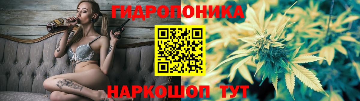 Бошки марихуана гибрид Волжский